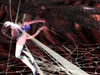 #重口 #ATD ULALA SPIDER scene10 前篇